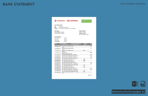 Beispiel eines Kontoauszugs der Scotiabank Colpatria in Excel (Kolumbien) – Vorschau